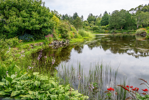 Glenwhan Gardens -2