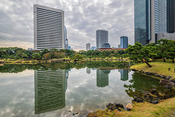 Kyu-Shiba-Rikyu Gardens -8