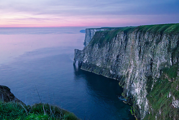 Bempton-84