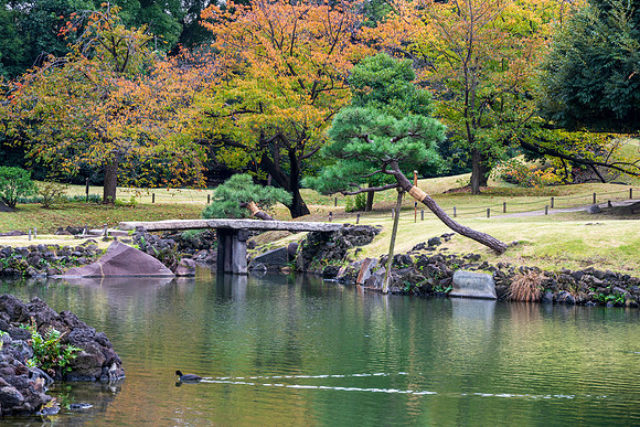 Kyu-Shiba-Rikyu Gardens -10