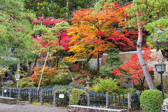 Takayama-65