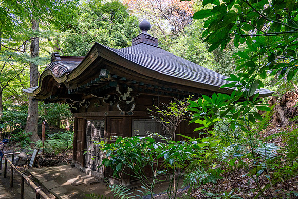 Koishikawa Korakuen Gardens  -11