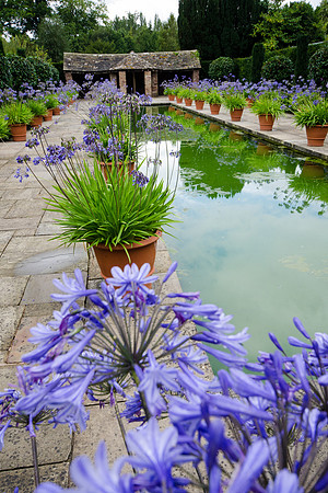 Hampton Court Gardens - 26