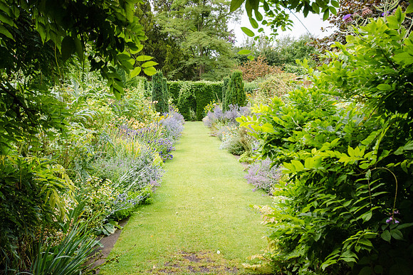 Hampton Court Gardens - 24