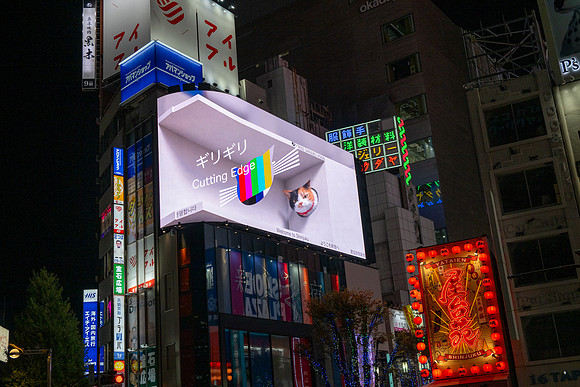 Shinjuku 3D Advert -1