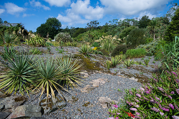 Logan Botanic Garden -1