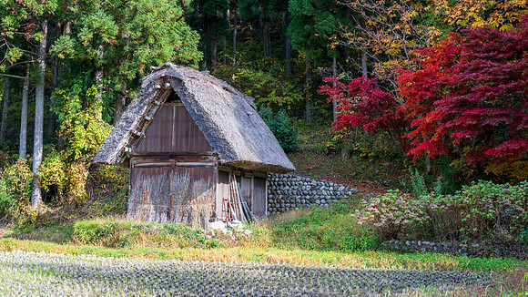 Shirakawa-go-30