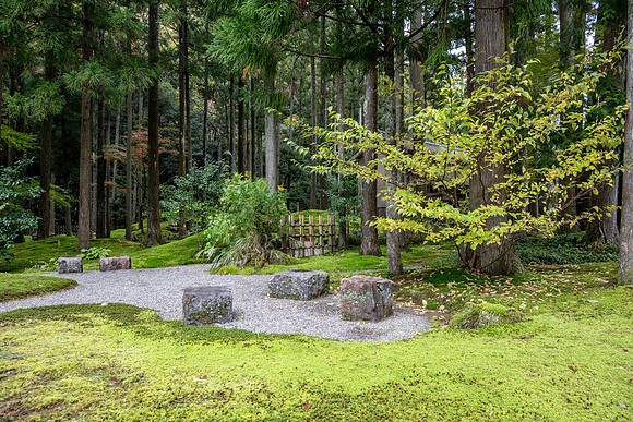 Hiyo Moss Garden-5