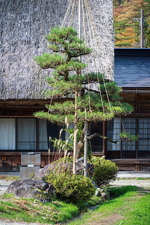 Shirakawa-go-31