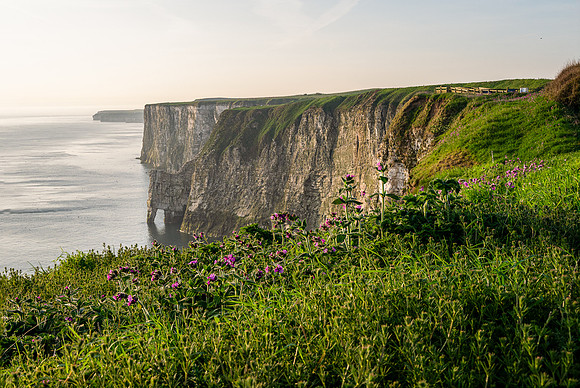 Bempton-167