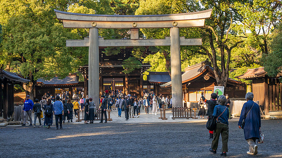 Meiji Shrine -3
