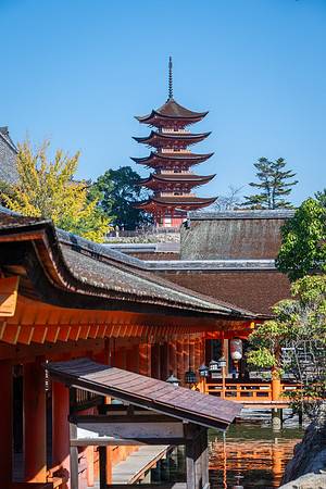 Miyajima-13