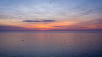 Bempton-86