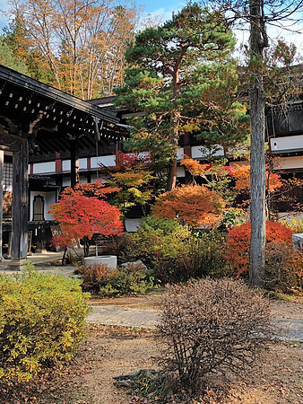 Takayama-46