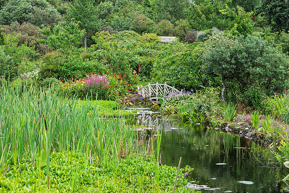 Glenwhan Gardens -11