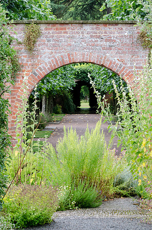 Hampton Court Gardens - 2