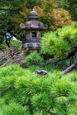 Kyu-Shiba-Rikyu Gardens -5