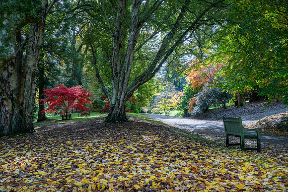 Batsford-26