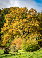 Batsford-10
