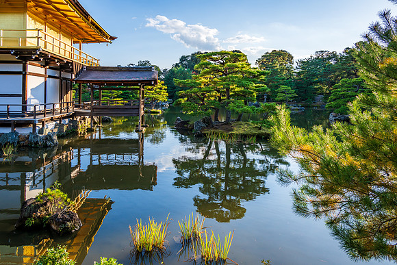 Golden Pavilion-6