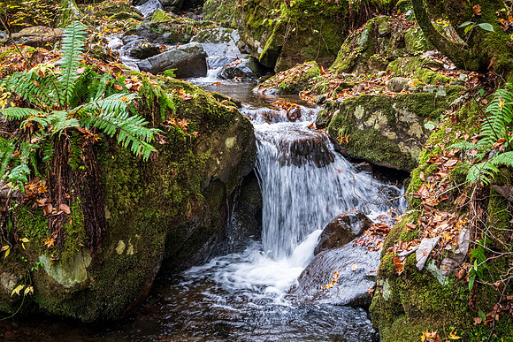 Utsue Forty Eight Waterfalls-16