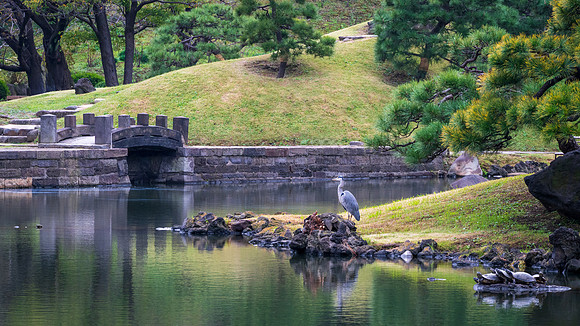 Kyu-Shiba-Rikyu Gardens -7