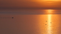 Bempton-96