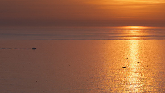 Bempton-96