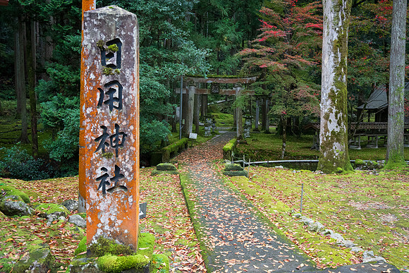 Hiyo Moss Garden-2