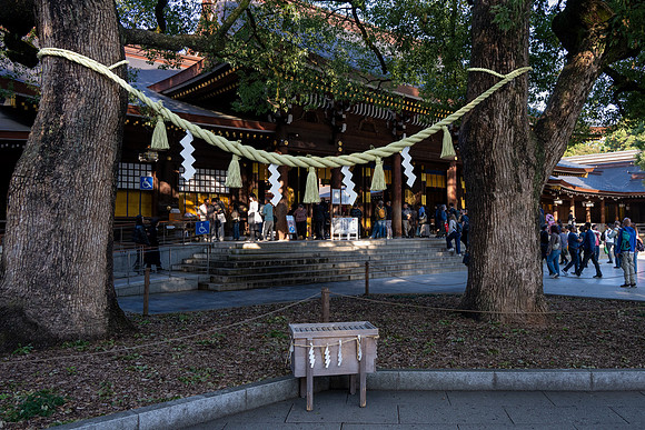 Meiji Shrine -6