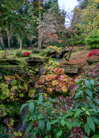 Gloucestershire - Batsford Arboretum 2024