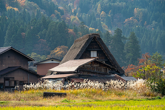 Shirakawa-go-26