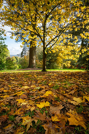 Batsford-30