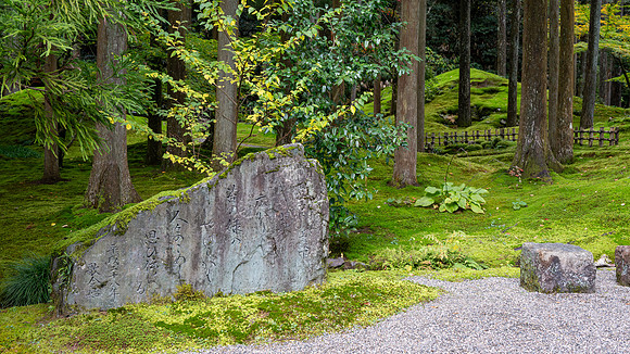 Hiyo Moss Garden-7