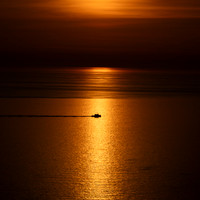 Bempton-97