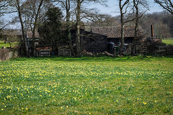 Kempley-16