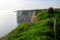 Bempton Cliffs