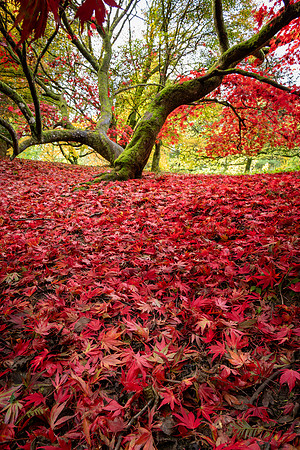 Batsford-24