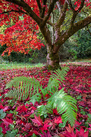 Batsford-27