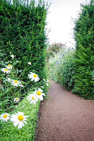 Hampton Court Gardens - 18