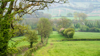 Stowe-17