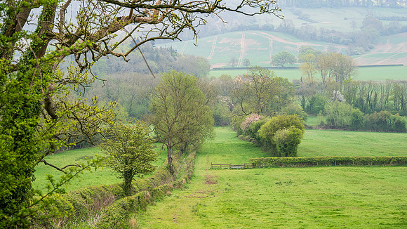 Stowe-17