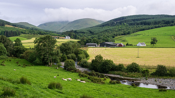 Galloway Forest Park -2
