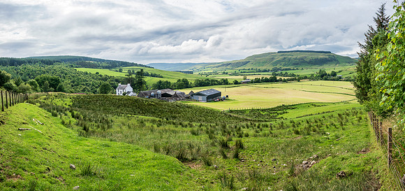 Galloway Forest Park -4