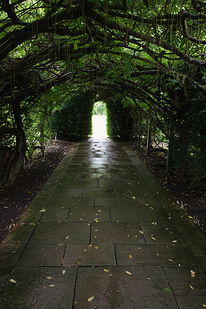 Hampton Court Gardens - 23