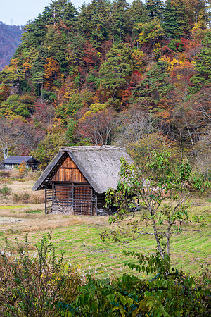 Shirakawa-go-27