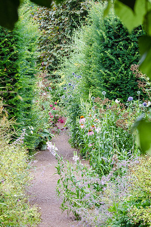 Hampton Court Gardens - 16