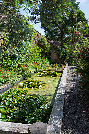 Logan Botanic Garden -11