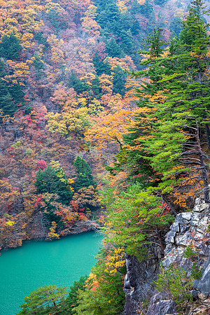 Takayama-2