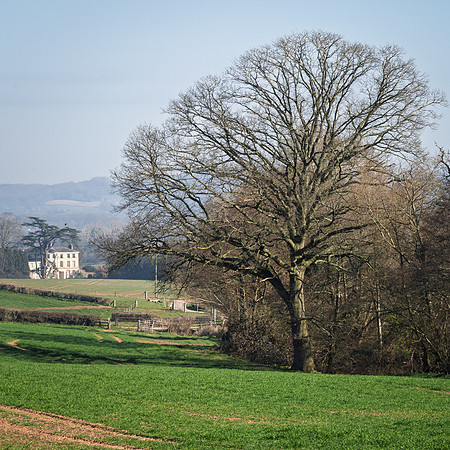 Kempley-9